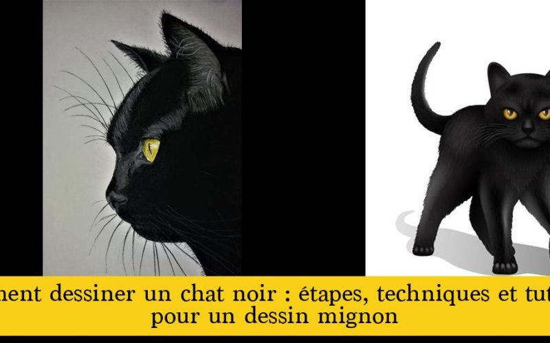 comment dessiner un chaton noir